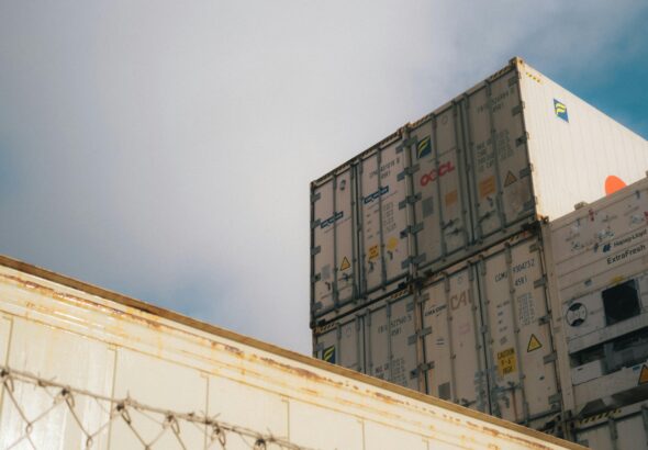 pexels-lukhe-30115456